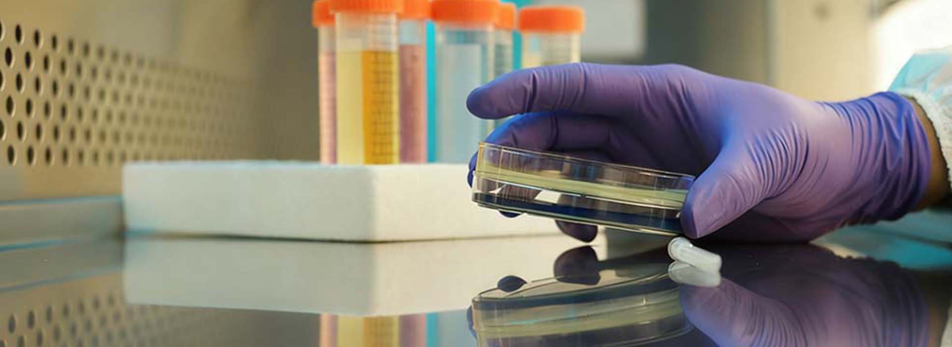 Смола Джеифер